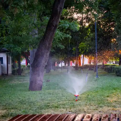 Sprinklers irrigating a landscaped lawn bordered by palm trees