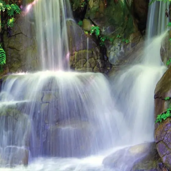 Cascading landscaped waterfall feature surrounded by greenery