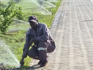 Technician kneeling to adjust a sprinkler head along a landscaped roadway