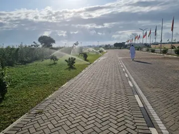Large-scale irrigated boulevard lined with flags and trees