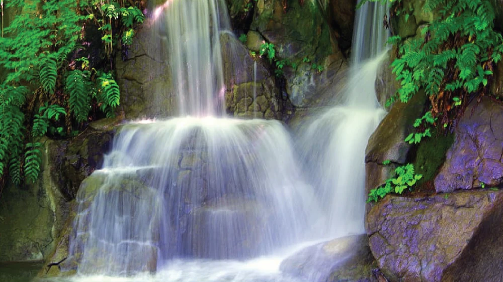 Stewa Gardens Irrigation Limited | Project Scale Flexibility
